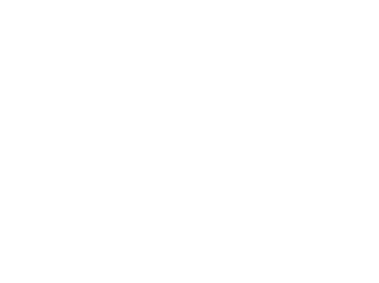 Pollo do Brasil